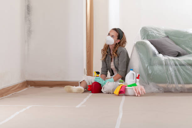 Reliable Basement Mold Removal contractor in Altoona, PA by WQB Mold Removal
